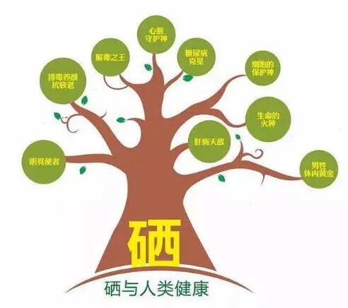 钙铁锌硒检测仪厂家提示什么叫有机硒和无机硒？科学补硒看看吧